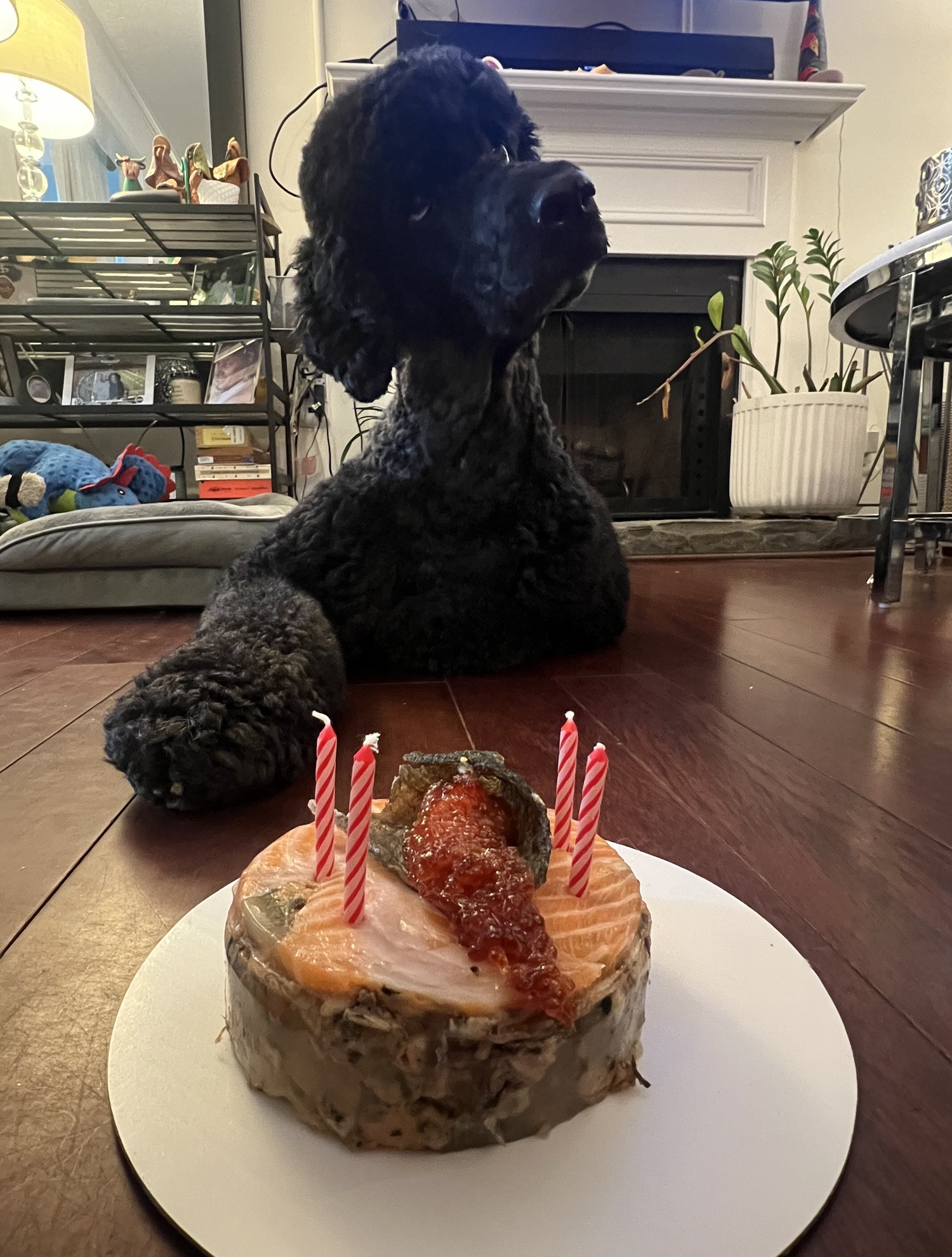 Rigger with a celebration cake